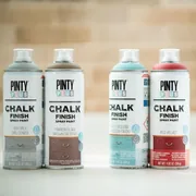 Pintyplus Chalk Finish Spray Paint
