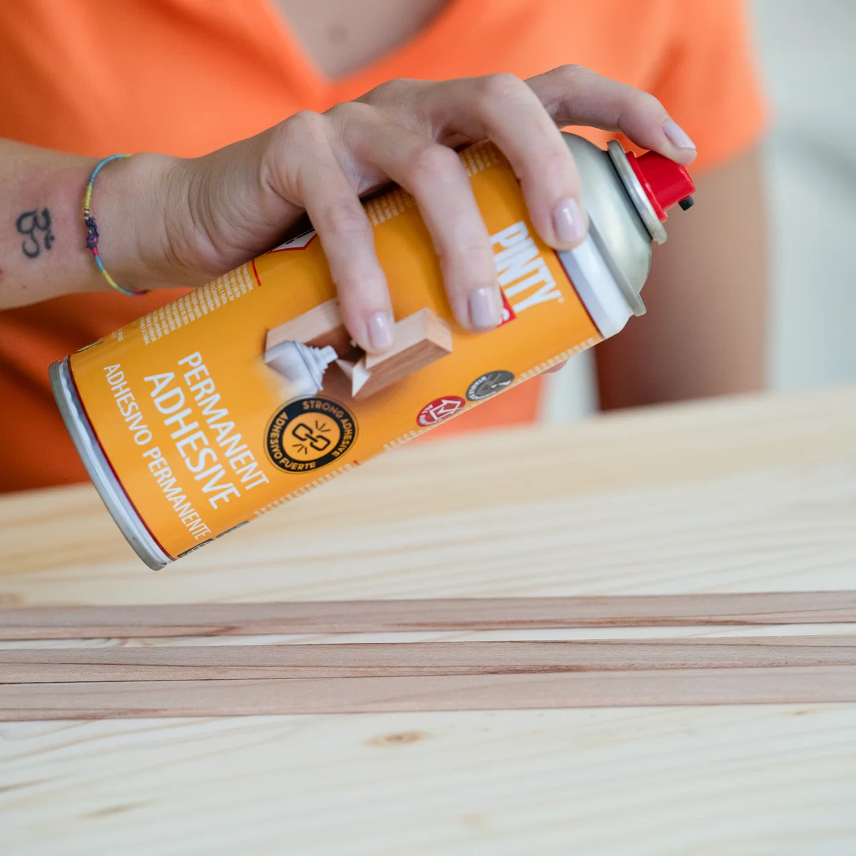 Application example for Pintyplus Permanent Adhesive Spray
